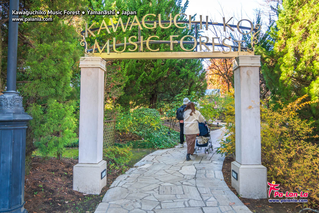 Kawaguchiko Music Forest